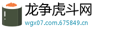 龙争虎斗网